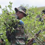 Imagen de archivo que muestra a efectivos de la Fuerza de Tarea Conjunta (FTC) durante la erradicación de coca ilegal en la localidad de Chimoré (Bolivia). EFE/Martin Alipaz