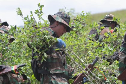 Imagen de archivo que muestra a efectivos de la Fuerza de Tarea Conjunta (FTC) durante la erradicación de coca ilegal en la localidad de Chimoré (Bolivia). EFE/Martin Alipaz