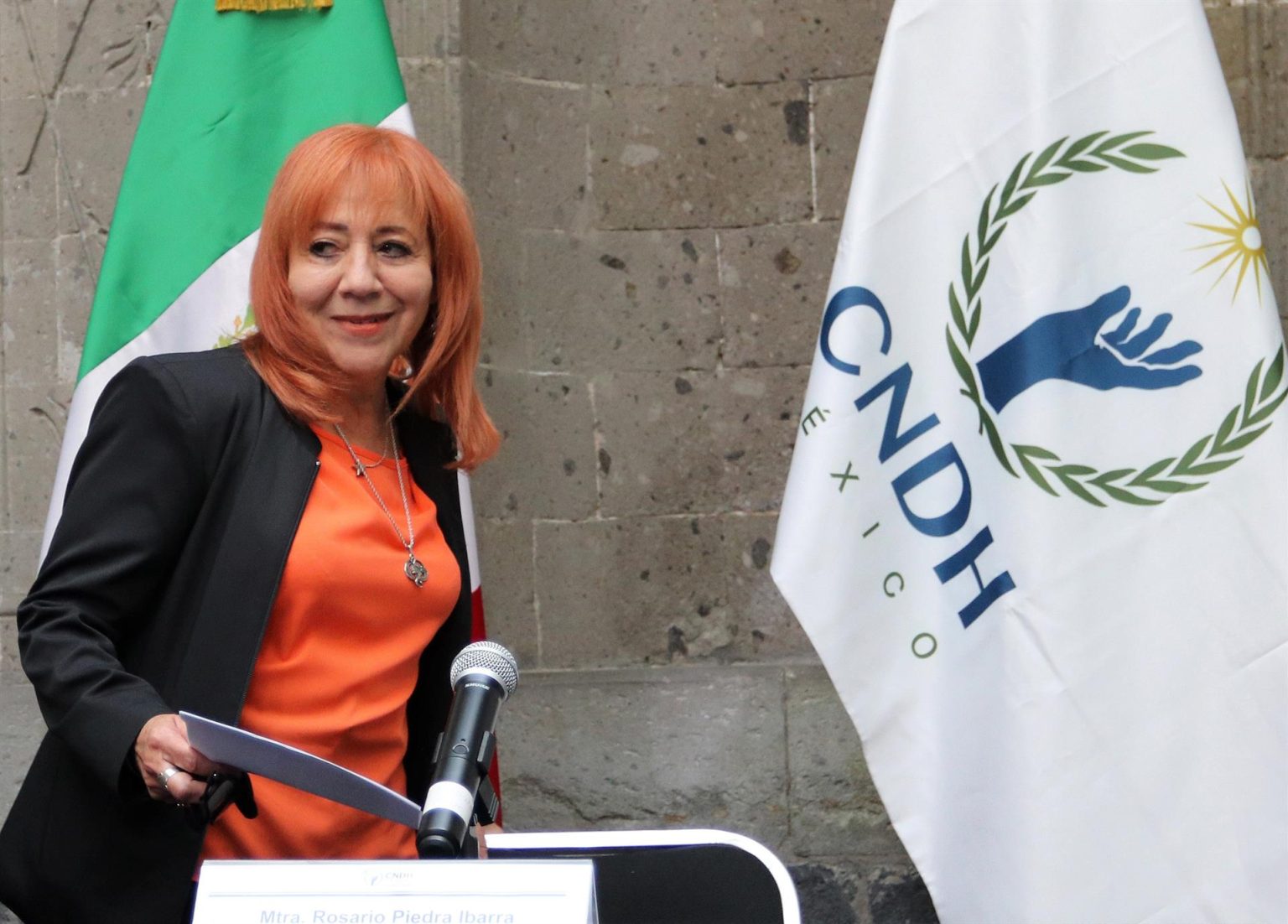 Imagen de archivo de la titular de la Comisión Nacional de Derechos Humanos (CNDNH), Rosario Piedra Ibarra. EFE/José Pazos