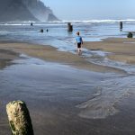 Fotografía de archivo que muestra a un niño jugando en una playa del estado de Oregon (EEUU). EFE/Tania Cidoncha