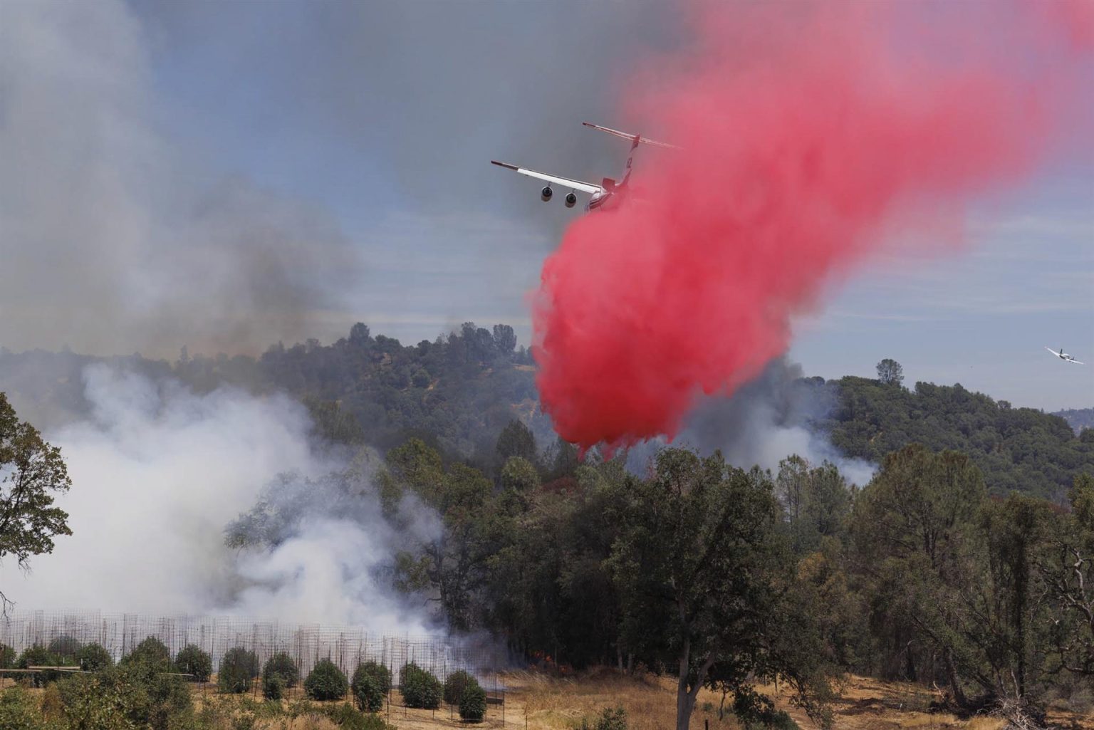 Un avión de ataque aéreo arroja su carga de retardante sobre el Incendio Oak en Midpines, California. EFE/EPA/PETER DA SILVA