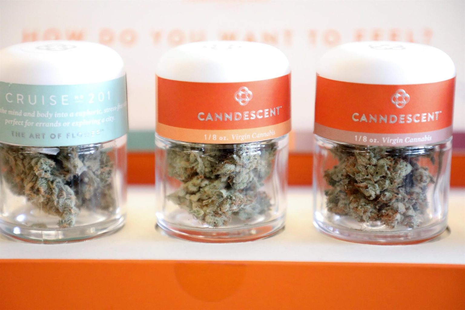 Imagen de archivo que muestra productos de cannabis en latas selladas en el dispensario MedMen para la compra de marihuana recreativa en West Hollywood, California (EE.UU.). EFE/EUGENE GARCIA
