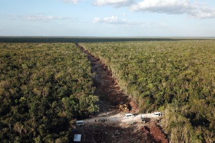 Fotografía aérea tomada con un dron que muestra el impacto de las obras de construcción del tramo 5 del Tren Maya en Playa del Carmen, estado de Quintana Roo (México). Imagen de archivo. EFE/Lourdes Cruz