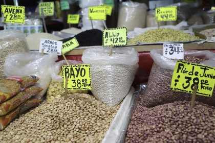 Vista de productos en el Mercado Jamaica, en la Ciudad de México (México). Imagen de archivo. EFE/Isaac Esquivel