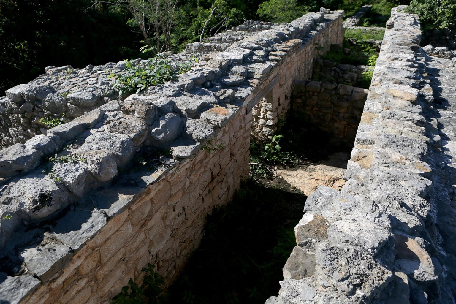 Fotografía de una zona arqueológica de Dzibilchaltún, el 27 de agosto de 2022, en Mérida (México). EFE/ Lorenzo Hernández