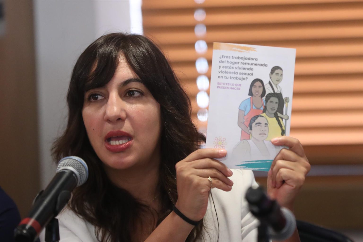 La directora del Instituto de Liderazgo Simone de Beauvoir (ISBL), Friné Salguero habla en rueda de prensa hoy, en Ciudad de México (México). EFE/ Sáshenka Gutiérrez