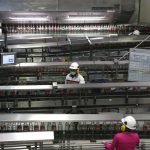 Personal labora en el proceso de producción en una planta embotelladora en el municipio de Tlaquepaque, en Jalisco (México). Imagen de archivo. EFE/ Francisco Guasco