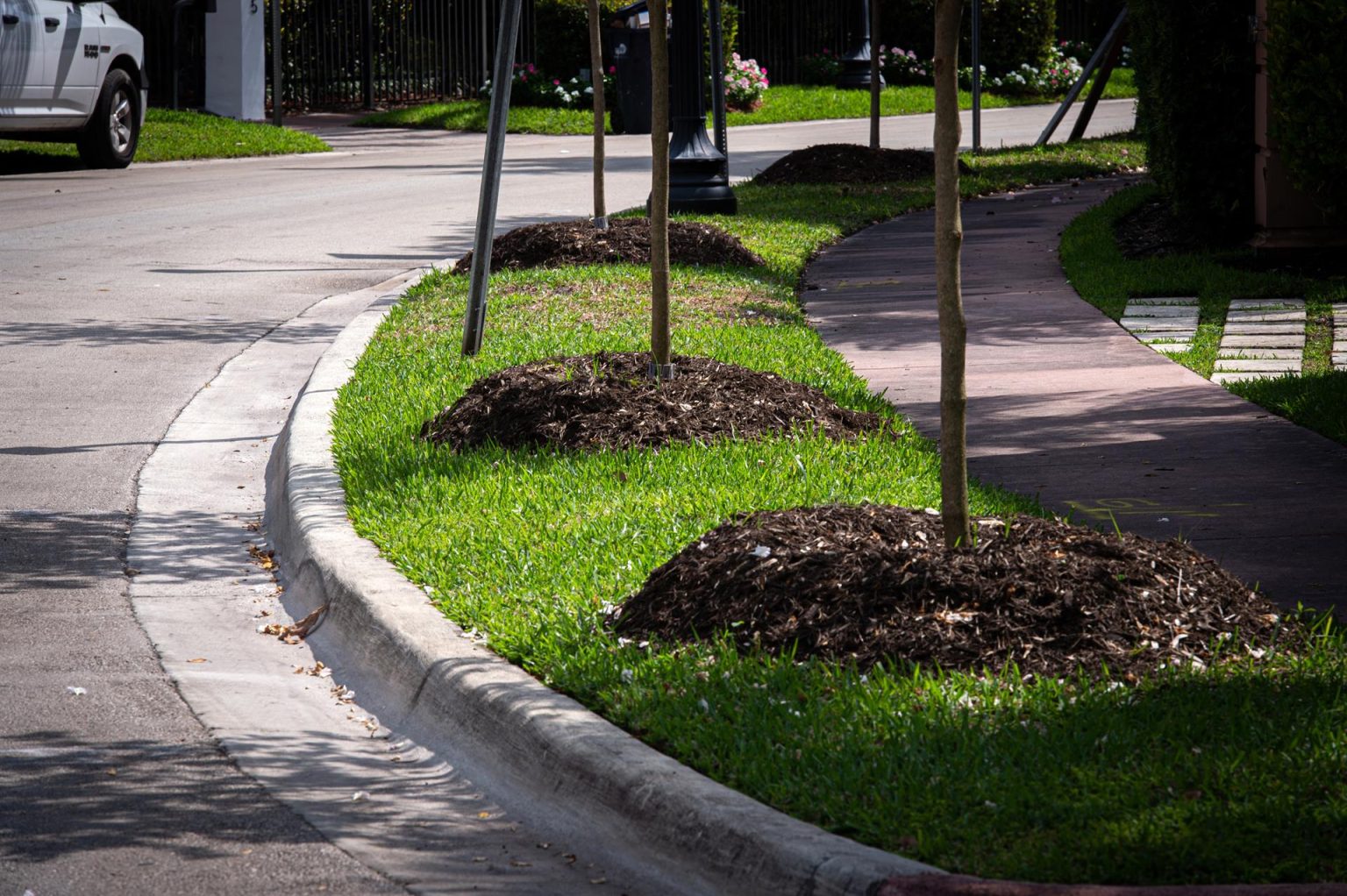 Vista general de una calle con nuevos árboles plantados en Miami Beach, Florida (EE.UU.). EFE/ Giorgio Viera