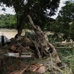 Fotografía de los efectos del huracán Fiona durante su paso por el pueblo de Naranjito (Puerto Rico). EFE/ Thais Llorca