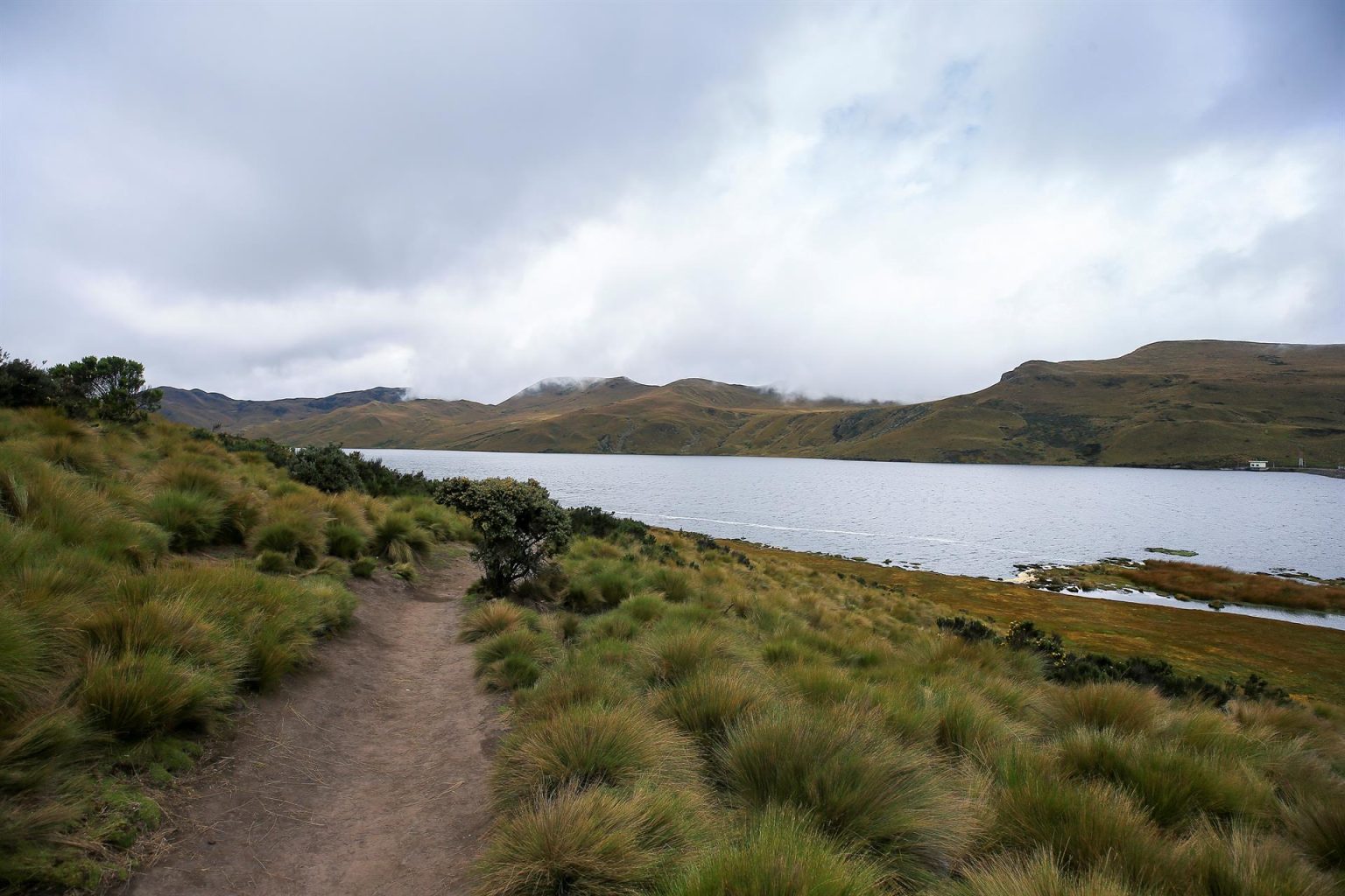 Fotografía de archivo de la Laguna La Mica en la reserva Antisana (Ecuador). EFE/ José Jácome