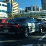 Fotografía de archivo de un carro de policía en San Juan (Puerto Rico). EFE/Jorge Muñiz