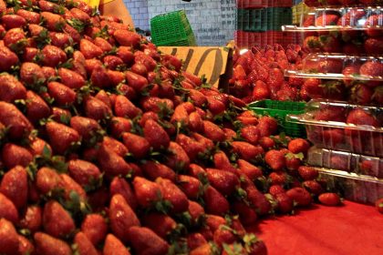 Fotografía de archivo de un expendio de fresas en la central de Abastos de Ciudad de México (México). EFE/Mario Guzmán