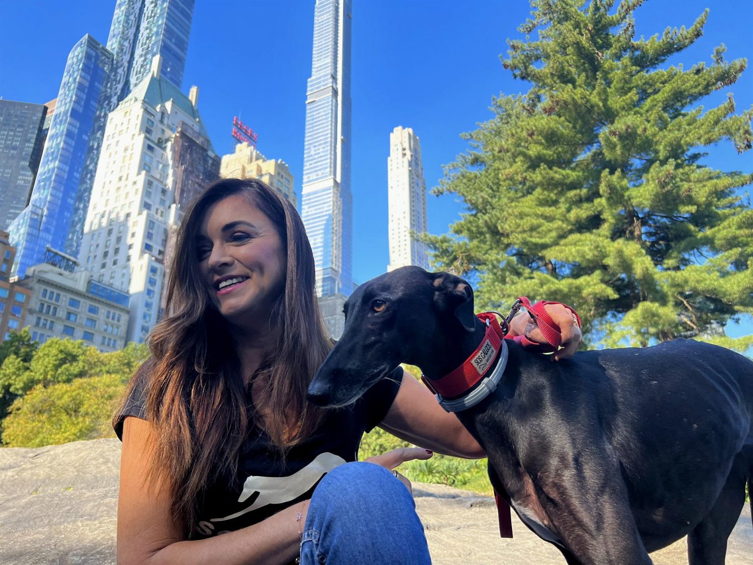 Anna Clements presidenta del grupo de rescate SOS Galgos de Barcelona posa junto a la galgo Aitana hoy, en el Parque Central en Nueva York (EEUU). EFE/Sarah Yáñez-Richards