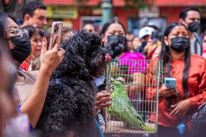 Personas llevan a sus mascotas a bendecir en el marco de los festejos de San Francisco de Asís, hoy, en el municipio de San Cristobal de las Casas, estado de Chiapas (México). EFE/Carlos López