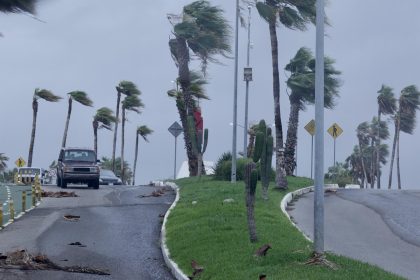 Fotografía de fuertes vientos impactando en unas palmeras debido a la llegada de un huracán, en Los Cabos (México). EFE/ Jorge Reyes