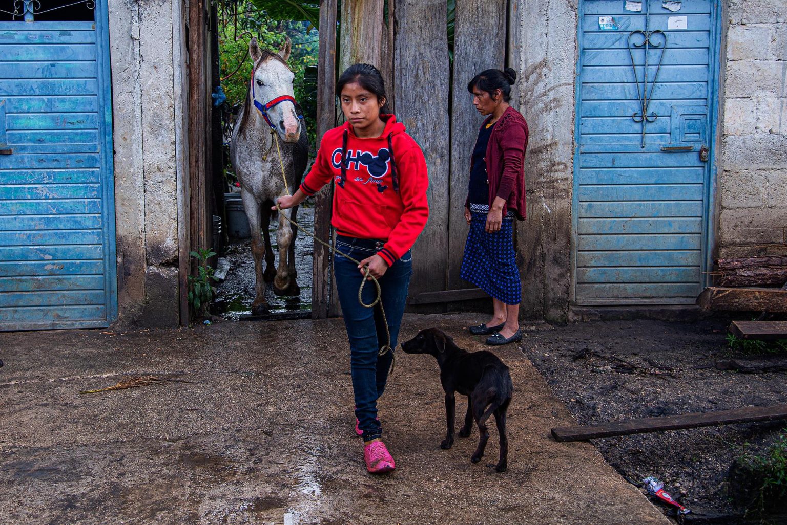 La niña jinete Sandra Jiménez camina con su caballo “Gringo”, el 30 de septiembre de 2022, en el municipio de Chanal, estado de Chiapas (México). EFE/ Carlos López