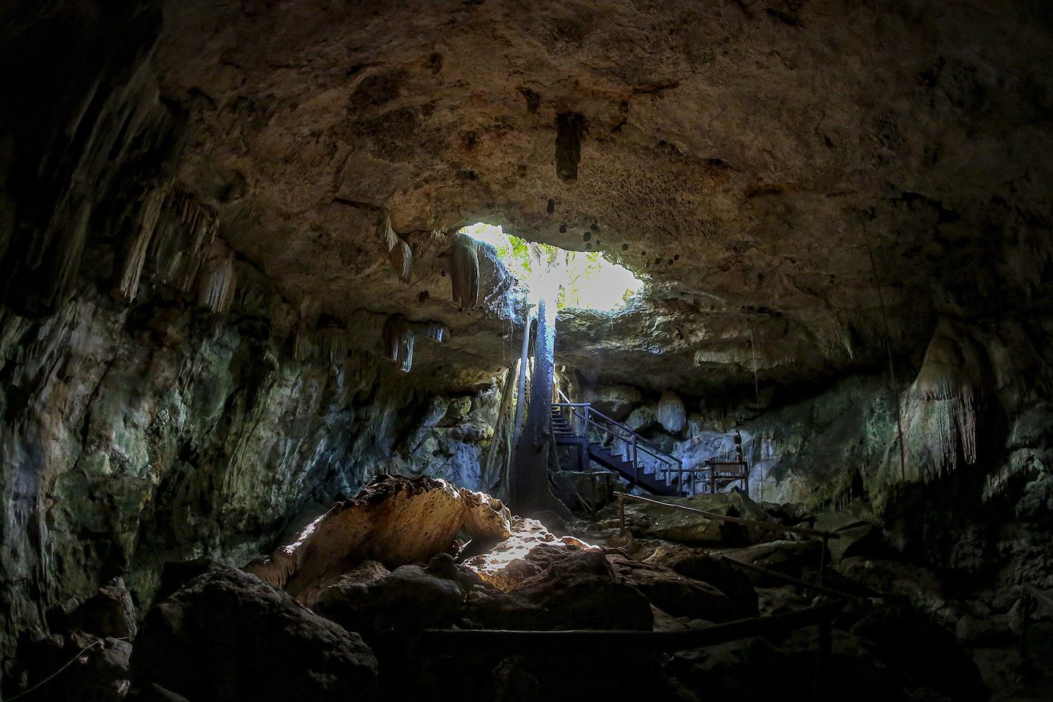 Fotografía donde se observa una parte de la caverna Kixné en un cenote de la Hacienda Kampepén, el 11 de noviembre de 2022, en el municipio de Homún (México). EFE/Lorenzo Hernández