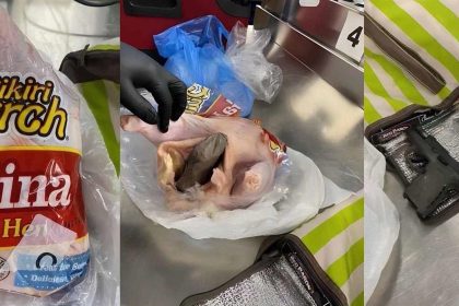 Composición de tres fotografías divulgadas por la Administración de Seguridad en el Transporte (TSA) donde se muestra un arma con cargador que estaban escondidos en una gallina, que estaba desplumada y lista para cocinar dentro de una bolsa de plástico. EFE/ Administración de Seguridad en el Transporte (TSA)/ SOLO USO EDITORIAL/NO VENTAS/SOLO DISPONIBLE PARA ILUSTRAR LA NOTICIA QUE ACOMPAÑA/CRÉDITO OBLIGATORIO/MÁXIMA CALIDAD DISPONIBLE