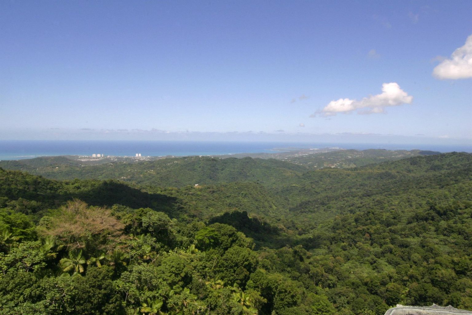 Vista de la costa noreste en el Bosque Nacional del Caribe en Puerto Rico. Imagen de archivo. EFE/Thais Llorca.