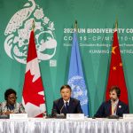 (i-d) La secretaria ejecutiva de la Convención sobre Diversidad Biológica, Elizabeth Maruma Mrema; el presidente de la Conferencia de la ONU sobre Biodiversidad COP15, el chino Huang Rinqiu; y el ministro de Medio Ambiente de Canadá, Steven Guilbeault, participan hoy en una rueda de prensa en Montreal (Canadá). EFE/Julio César Rivas