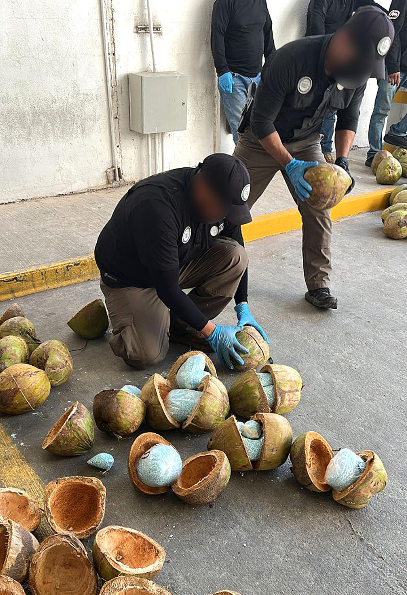 Fotografía cedida hoy, por la Fiscalía General de la República, de personal de la dependencia asegurando un cargamento de droga en Puerto Libertad, Sonora (México). EFE/ Fiscalía General De La República SOLO USO EDITORIAL SOLO DISPONIBLE PARA ILUSTRAR LA NOTICIA QUE ACOMPAÑA (CRÉDITO OBLIGATORIO)