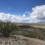 Fotografía de archivo que muestra una vista general del área conocida como Quitobaquito, en la frontera de Arizona con México (EE.UU.). EFE/Paula Díaz