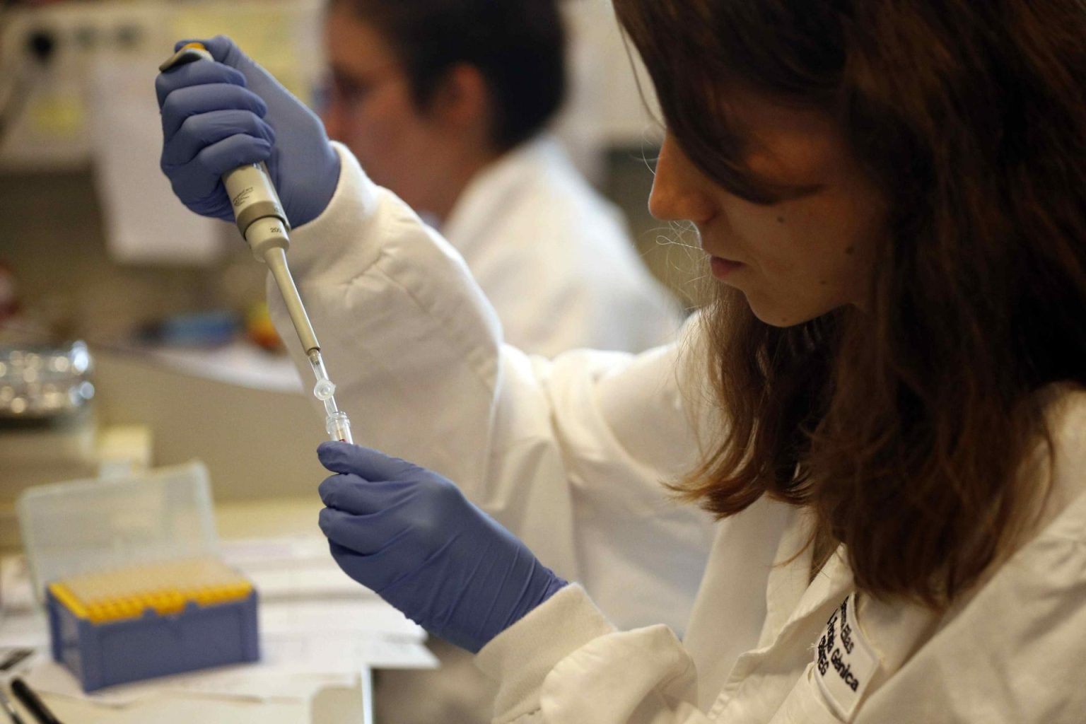 Un estudio publicado este jueves en la revista Stem Cell Reports muestra que probablemente existen diferencias entre machos y hembras en la reparación de los pulmones tras una infección vírica. Imagen de archivo. EFE/Alejandro García