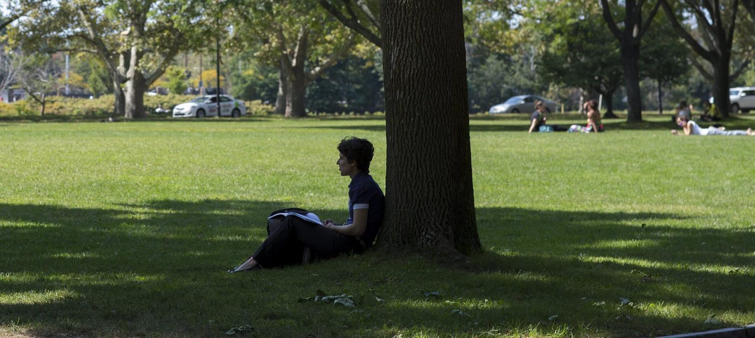 Una mujer lee bajo un árbol en el parque JFK de la escuela Harvard Kennedy en Cambridge, Massachusetts (EE.UU.). Imagen de archivo. EFE/CJ Gunther