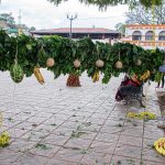 Un indígena elabora con flores y frutas los adornos para los preparativos en honor al señor de Esquipulas hoy, en el municipio de Chiapa de Corzo en el estado de Chiapas (México). EFE/ Carlos López