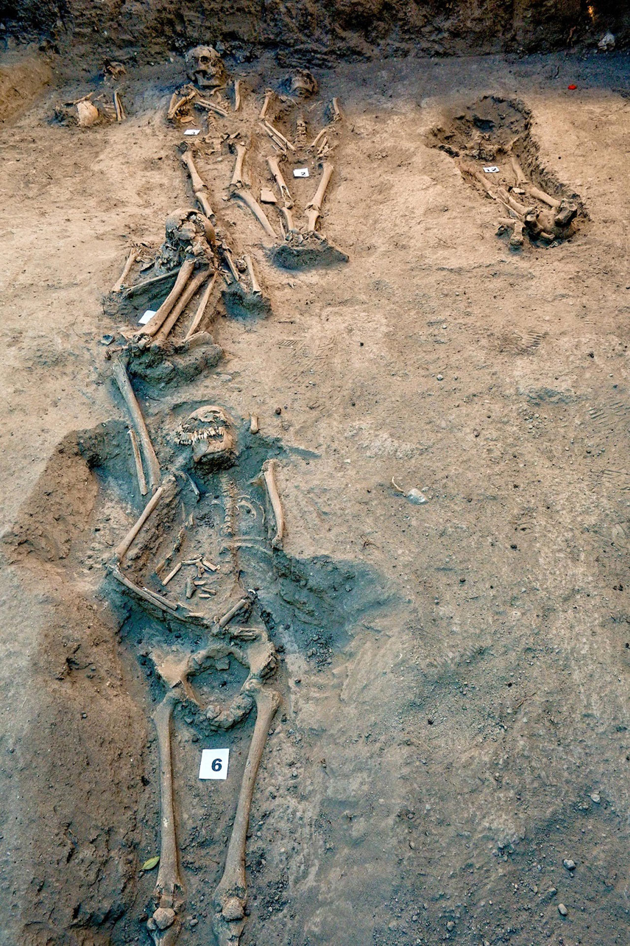 Fotografía cedida hoy, por el Instituto Nacional de Antropología e Historia (INAH), del hallazgo de restos óseos de un cementerio del periodo virreinal en Ciudad de México (México). EFE/ Instituto Nacional De Antropología E Historia/SOLO USO EDITORIAL/SOLO DISPONIBLE PARA ILUSTRAR LA NOTICIA QUE ACOMPAÑA (CRÉDITO OBLIGATORIO)