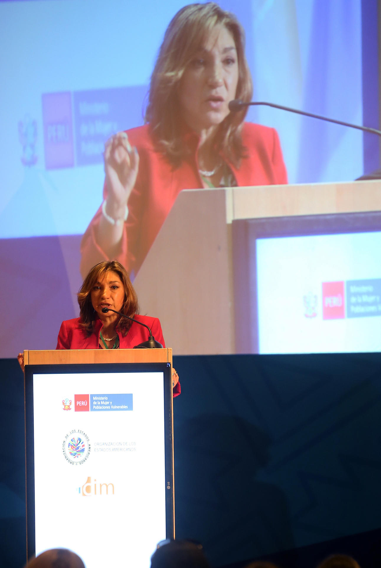 Imagen de archivo de la presidenta de la Comisión Interamericana de Mujeres (CIM), la costarricense Alejandra Mora. EFE / Ernesto Arias