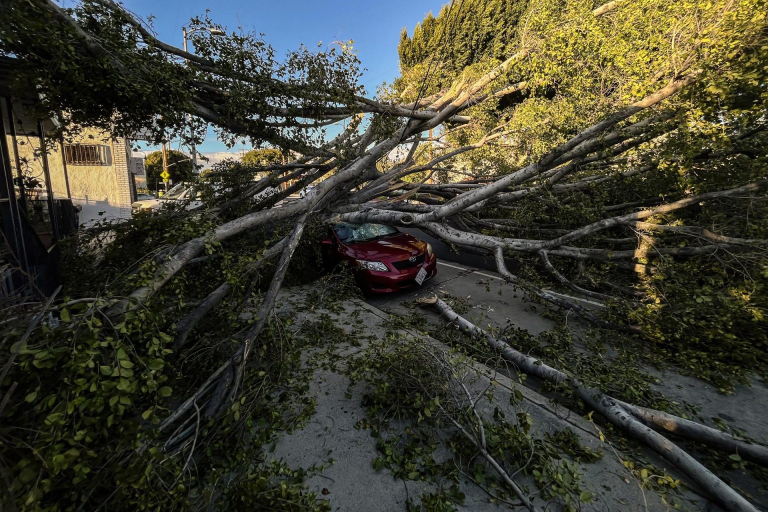 EFE/EPA/ETIENNE LAURENT