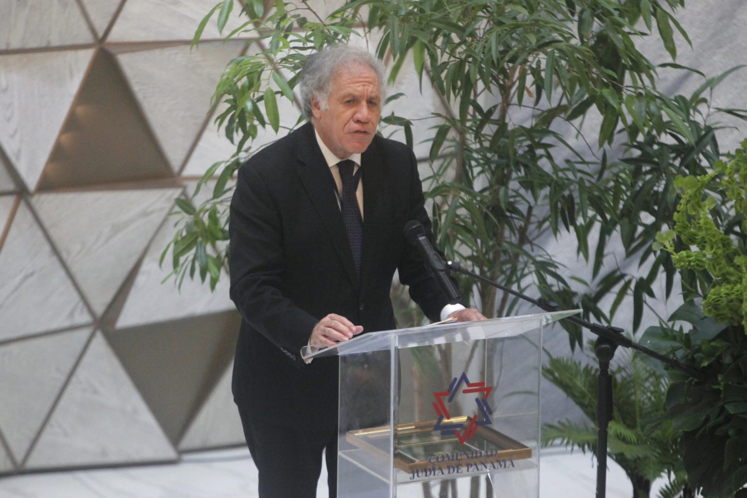 El secretario general de la Organización de Estados Americanos (OEA), el uruguayo Luis Almagro. Fotografía de archivo. EFE/ Carlos Lemos