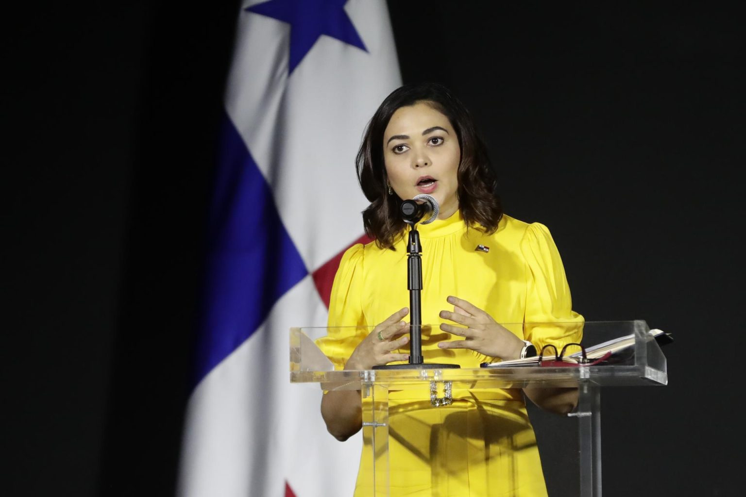 La ministra de Relaciones Exteriores de Panamá, Janaina Tewaney Mencomo, participa en una rueda de prensa conjunta con su homólogo de la India, Subrahmanyam Jaishankar, hoy, en la sede de la Cancillería en Ciudad de Panamá (Panamá). EFE/ Bienvenido Velasco