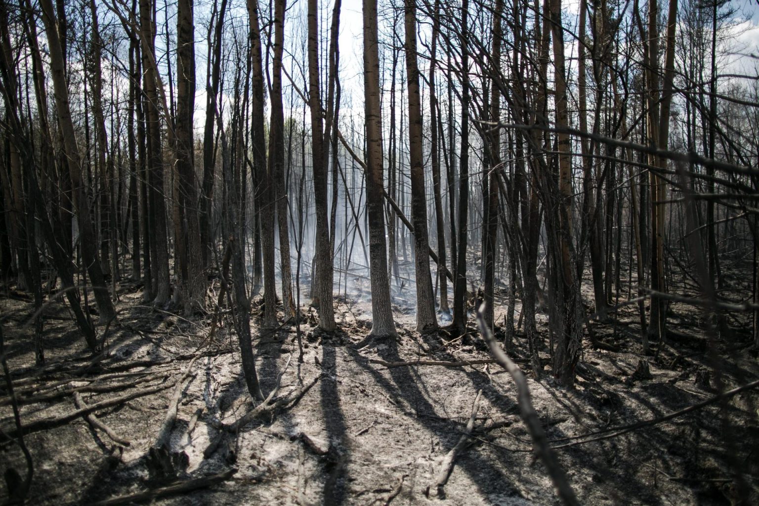 En estos momentos, la provincia de Alberta, en el oeste de Canadá, tiene 82 incendios activos de los que 29 están fuera de control. Fotografía de archivo. EFE/AMRU SALAHUDDIEN