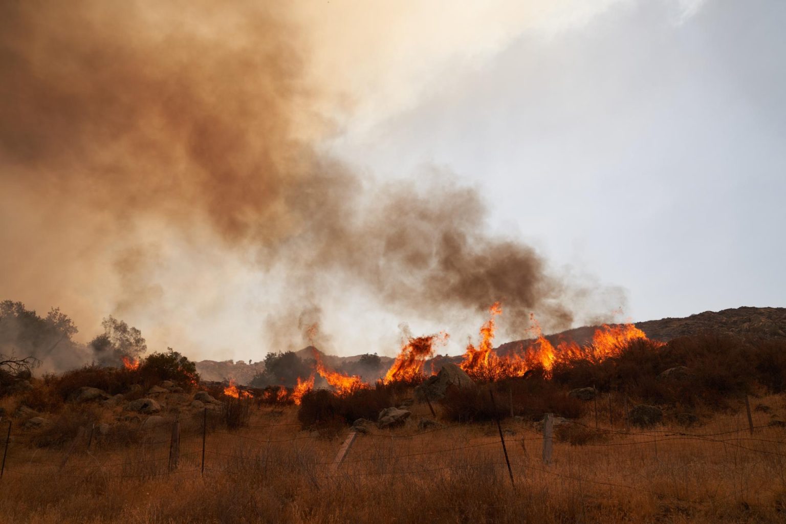 Fotografía de archivo fechada el 6 de septiembre de 2022 que muestra parte del incendio declarado en Fairview a lo largo de Gibbel Road en Hemet, California (EE.UU.).EFE/Allison Dinner