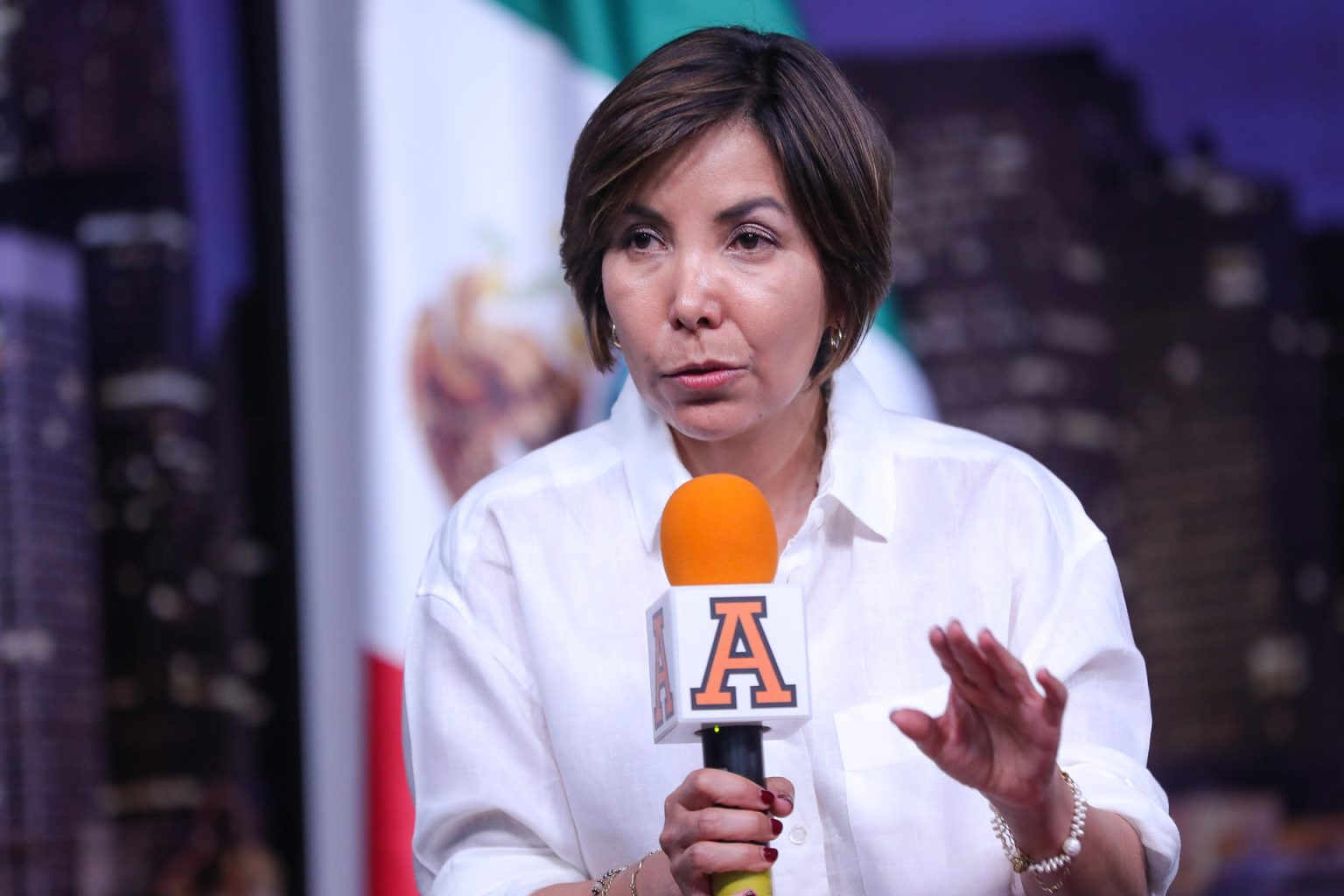 La coordinadora del Fondo Mundial para la Naturaleza (WWF) en México, Ana Laura de la Torre, habla durante una rueda de prensa en la Universidad Anáhuac hoy, en Ciudad de México. (México). EFE/Isaac Esquivel