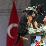 Arkadas, cachorro de raza pastor alemán donado por el gobierno de Turquía, fue presentado hoy en la Ciudad de México (México). EFE/Sáshenka Gutiérrez