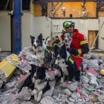 El guía canino de la Cruz Roja Mexicana, Edgar Martínez, posa con los perros de rescate Balam, Orly, Rocky y Robinson durante un entrenamiento el 19 de mayo de 2023, en Querétaro (México). EFE/ Sergio Adrián Ángeles