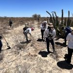 Mujeres que integran el colectivo Madres Buscadoras de Sonora buscan restos humanos en una fosas clandestinas en Hermosillo en Sonora (México). Fotografía de archivo. EFE/Daniel Sánchez