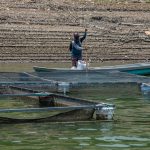 Vista general donde se observa el bajo nivel de agua en la presa Malpaso, el 19 de junio de 2023, en el municipio de Tecpatán, en Chiapas (México). EFE/Carlos López