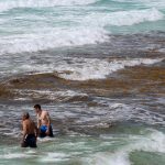 Vista de sargazo en las playas del balneario de Cancún, en Quintana Roo (México). Imagen de archivo. EFE/Alonso Cupul