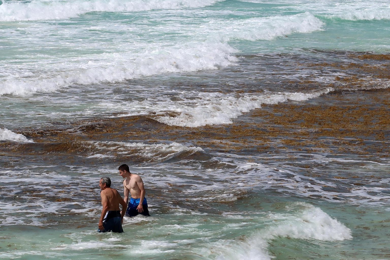 Vista de sargazo en las playas del balneario de Cancún, en Quintana Roo (México). Imagen de archivo. EFE/Alonso Cupul