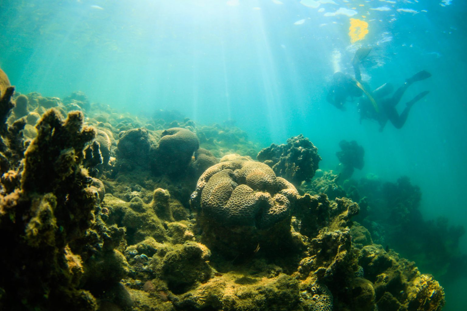 Los grupos ecologistas insisten desde hace años en que este tratado es vital para salvar los océanos, amenazados por la contaminación, el cambio climático y las nuevas tecnologías que abren la puerta a la minería en el fondo de los mares y a una pesca más intensiva. Fotografía de archivo. EFE/ Andre Coelho