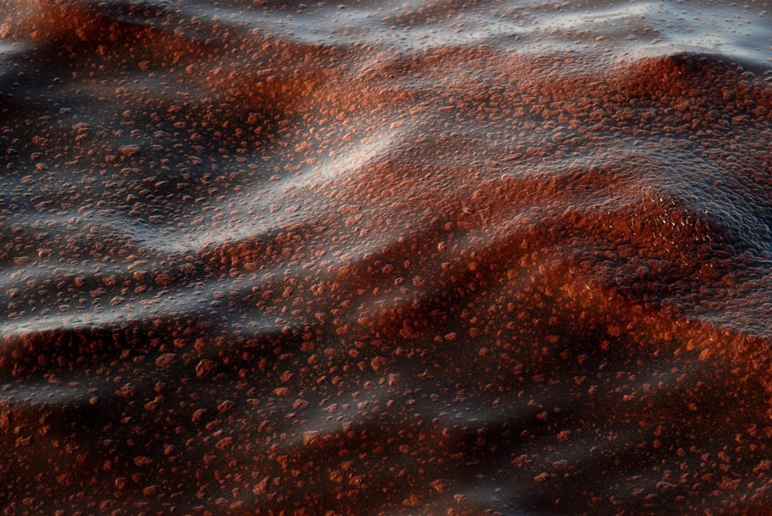 Fotografía de archivo de un detalle del agua contaminada del Golfo de México (EEUU). EFE/CHRISTOPHER BERKEY