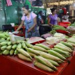 Fotografía de archivo que muestra a una mujer que vende mazorcas de maíz en un mercado de la Ciudad de México (México). EFE/Sáshenka Gutiérrez