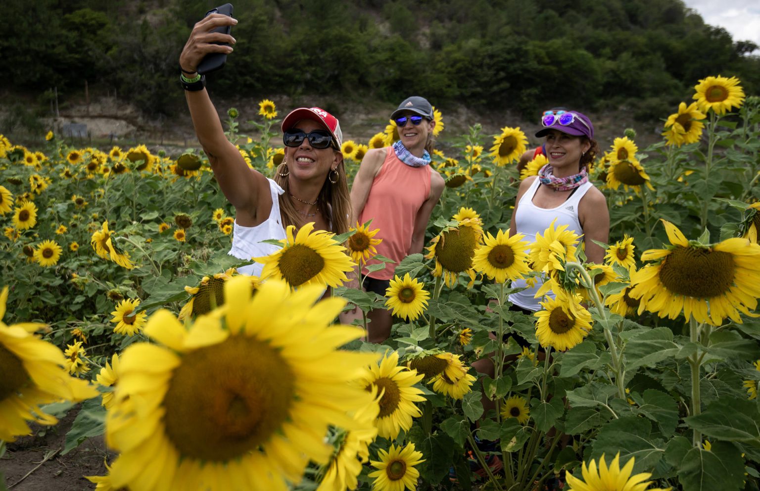 Turistas pasean por un campo de girasoles en la Laguna de Sánchez, el 8 de julio de 2023, en el municipio de Santiago (México). EFE/Miguel Sierra