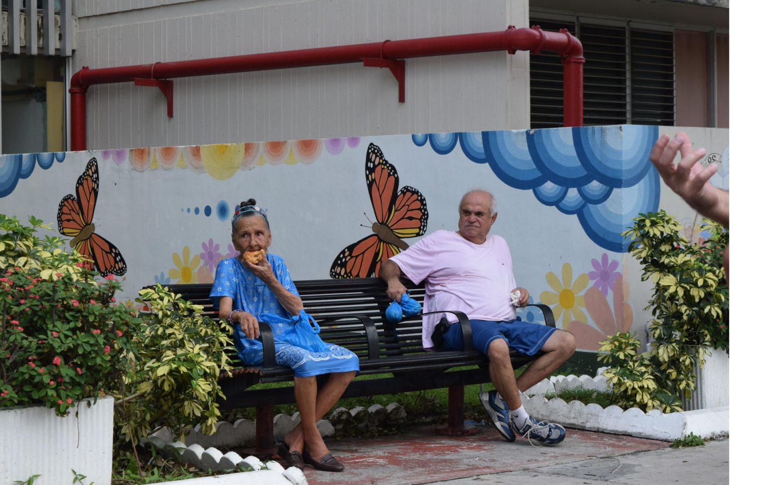 Fotografía de archivo en donde se observan a dos ancianos compartiendo una silla en Miami, Florida. EFE/Jorge I. Pérez