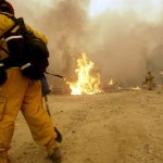 Ayudados por la humedad y lluvias traídas por el monzón, los bomberos hicieron grandes avances para contener las llamas que amenazan el bosque de Joshua Tree. Fotografía de archivo. EFE/Richard Lui