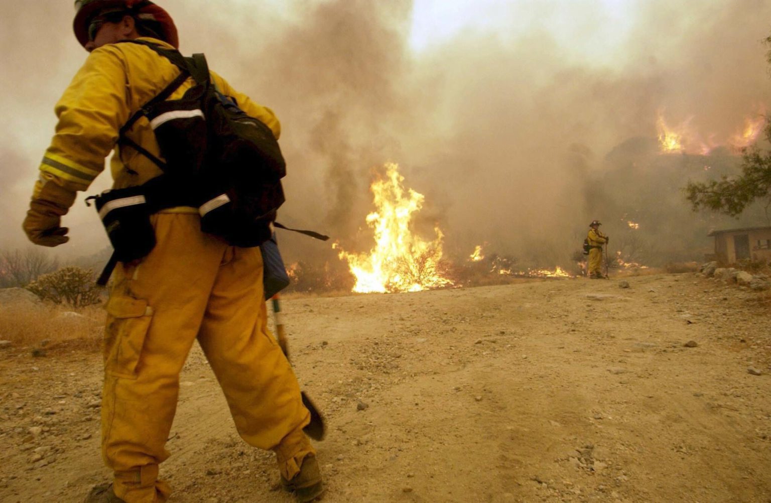 Ayudados por la humedad y lluvias traídas por el monzón, los bomberos hicieron grandes avances para contener las llamas que amenazan el bosque de Joshua Tree. Fotografía de archivo. EFE/Richard Lui